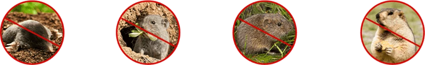 Шкідники